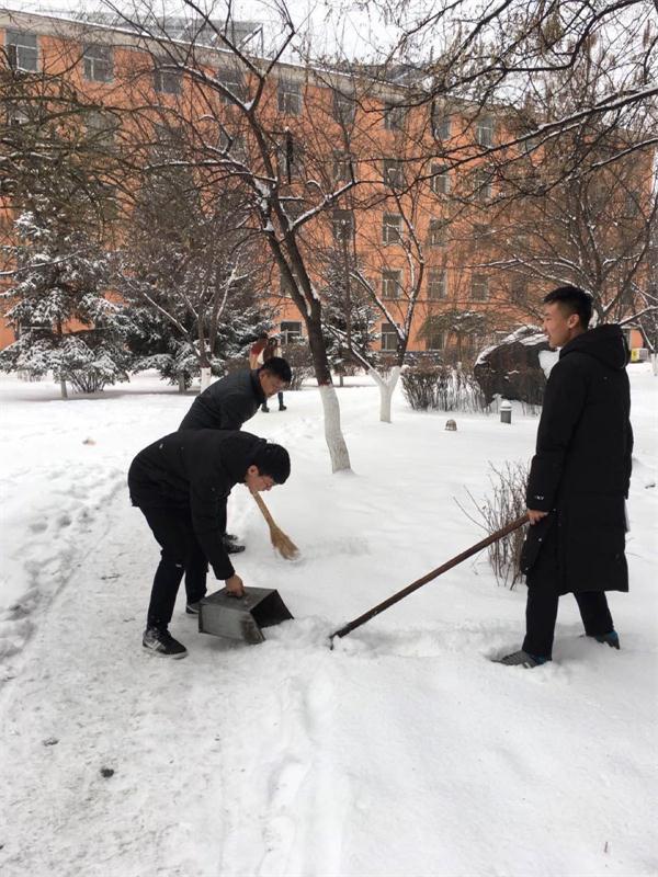 撸起袖子加油干！—新闻传播学院青年志愿者清扫校园积雪